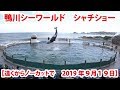 【鴨川シーワールド】シャチショー（遠くからノーカットで　2019年9月19日）