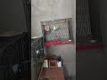 my setup birds #