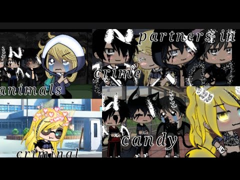 Animals, partners in crime, criminal & candy -glmv part 1