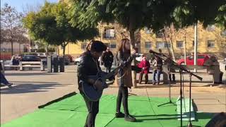 Photograph/Just The Way You Are ( Mashup )  | Lion