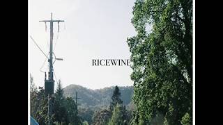 Miniatura de vídeo de "Ricewine - Today"