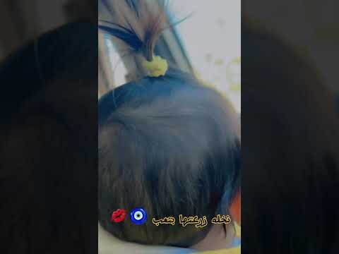 نخلة زرعتها بتعب تصميمي لايك ستوريات ترند اكسبلور فولو
