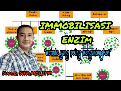 Video: Apa yang dimaksud dengan immobilisasi enzim?