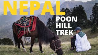 BEST 4 Day Trek in Nepal - Ghorepani Poon Hill