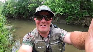 Catching MEGA Giant PA Wild Browns On Streamer using ultra lite #trout #fishing #streamer