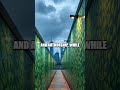 Living Walls Algae Art The New Public Biotech Aesthetic