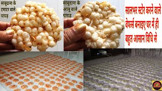 Homemade Sabudana Papad Recipe | Tasty Papad Recipe | Sabudana Wafer Recipe