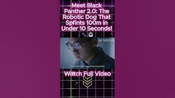 Meet Black Panther 2.0: The Robotic Dog That Sprints 100m in Under 10 Seconds! 🐾🤖 #robotics #ai