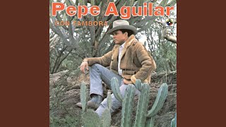 Video thumbnail of "Pepe Aguilar - Cruz de Madera"