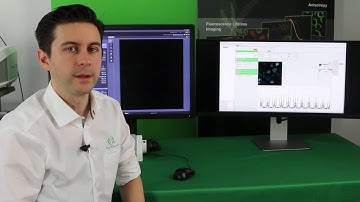 Zeiss LSM 880 with PicoQuant FLIM & FCS Upgrade Kit