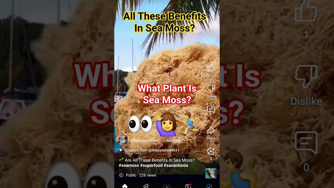 Is Sea Moss Seaweed? 