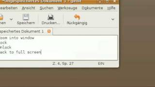 Famous Zoom effects in Linux screencasts Wealth