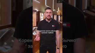 ДОБЫЧА ЗОЛОТА ОВЕЧЬЕЙ ШКУРОЙ