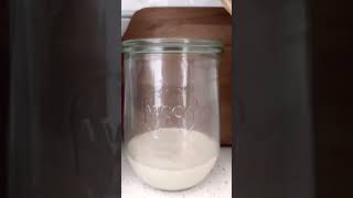 Day 4 of my sourdough starter journey & it’s either going great or growing mold…I can’t even tell.