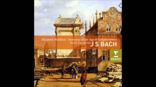 Bach - Violin Concertos BWV 1052 - Elizabeth Wallfisch 432Hz