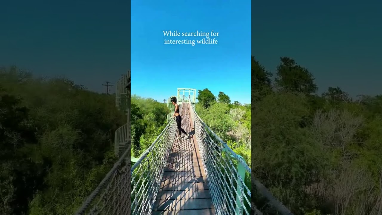 Hiking in the Tops of Trees in Texas🌳 🌁At Santa Ana Wildlife Refuge 