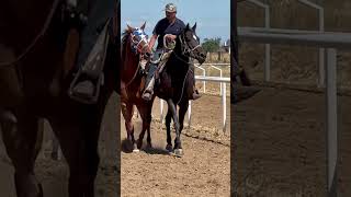 Caballos de carreras #music #regionalmexicano #banda