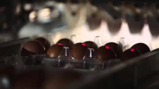 Sanovo Technology Group Egg Grading