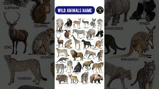 wild animals name || #education #animals #wildanimals #wildanimalsnames