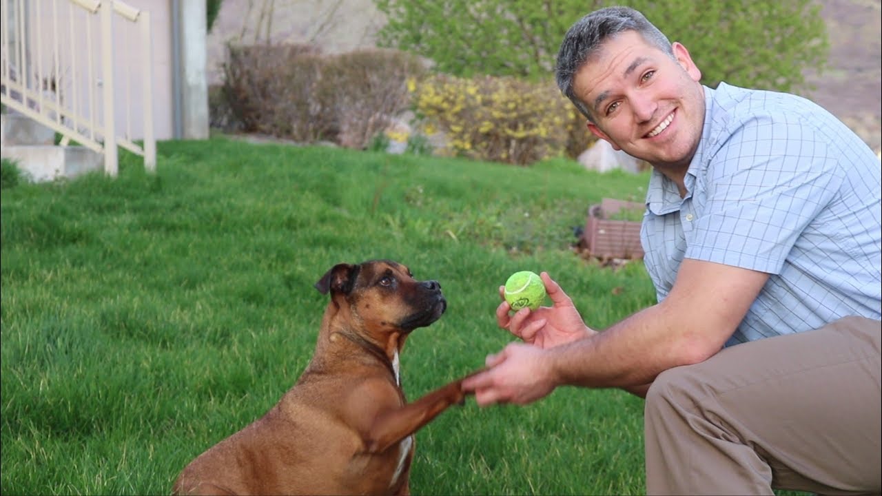 Bryan Ellis' Mammalogy Project