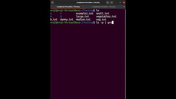 Linux/Ubuntu Tricks 💡 #87 #shorts - List only the files from folder/directory