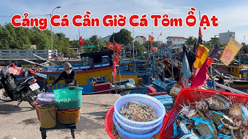 Cảng cá cần giờ ngập tràn cá biển hải sản giá rẻ