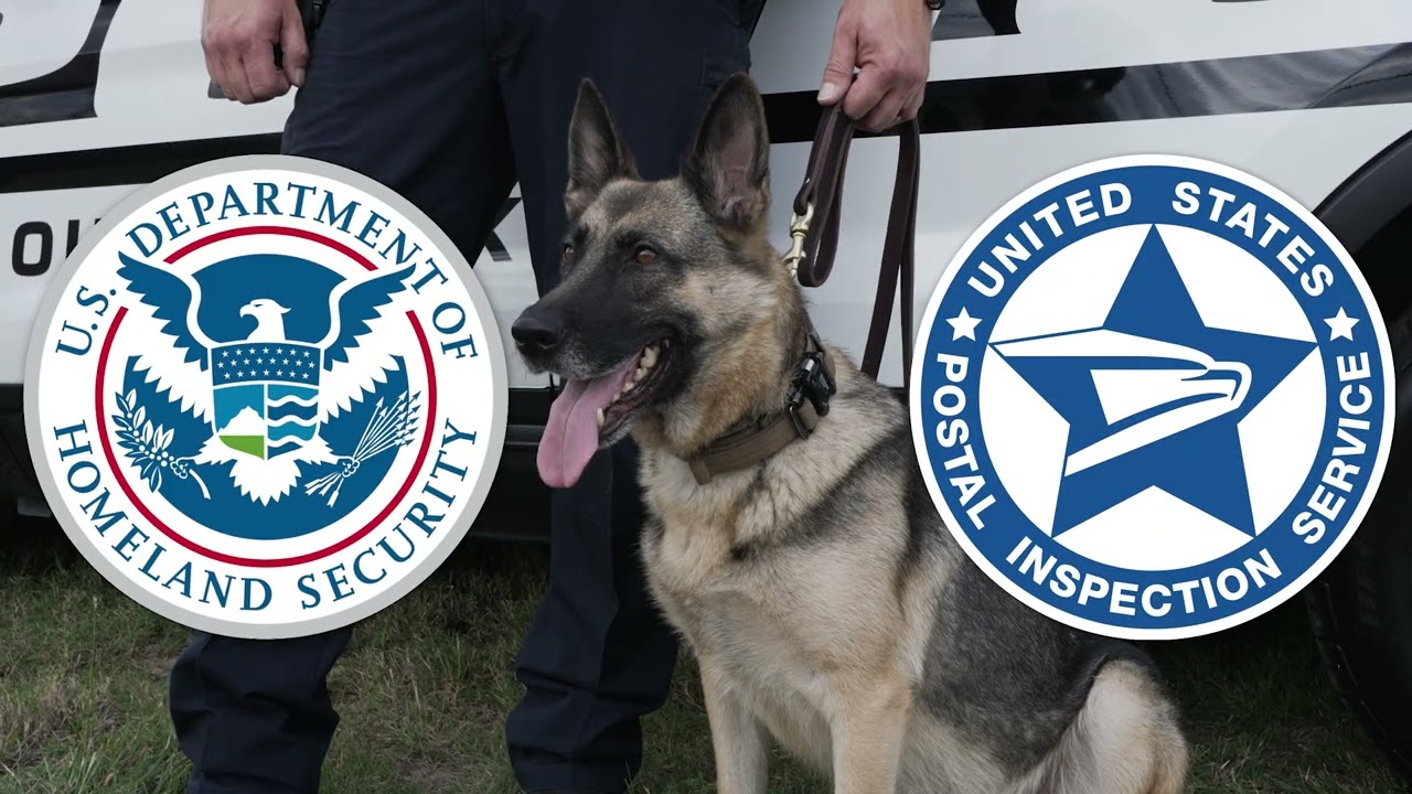 Outstanding K9 - Round Rock Police Department
