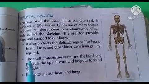 Dalauda Public School Class 3rd  Science Chapter 5th part 2 By Bindu Tiwari