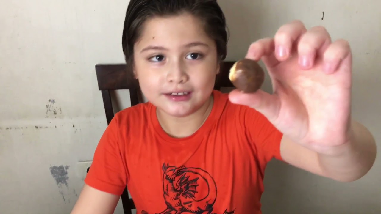 SCIENCE 4 | Changes in Solid Materials (Bent, Cut, Hammered and Pressed) Zach’s Experiment