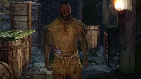 Skyrim SE |Combat Mods in 2021|Playthrough|Diary Of An Outsider #1|Hey, you, you