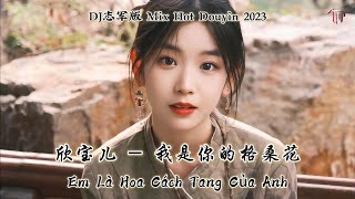 Download lagu 欣宝儿 - 我是你的格桑花 Em Là Hoa Cách Tang Của Anh - Hân Bảo Nhi (DJ志军版 Mix Hot Douyin 2023)