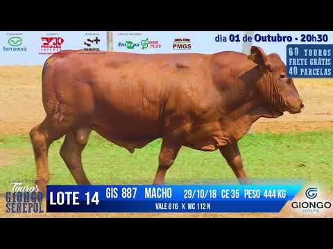 LOTE 14 GIS 887