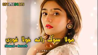 Mula Sok Rana khula ghwari Karan Khan Pashto New Songs | Slowed Reverb| 2023 | ‎@harisofficial5869