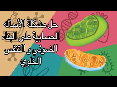 كيفية حل الأسئلة الحسابية على البناء الضوئي والتنفس الخلوي توجيهي 2008 تفصيل وشرح بسيط