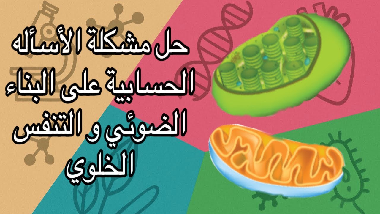 كيفية حل الأسئلة الحسابية على البناء الضوئي والتنفس الخلوي (توجيهي 2008) | تفصيل وشرح بسيط
