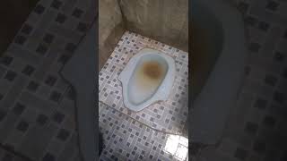 Cara mengatasi wc mampet