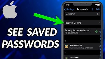 How To See Saved Passwords On iPhone