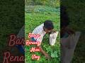 Barge Renang Mini Vlog Ananda OR Kabita #trendingsantalisong #love #bmsanthali #song