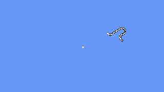 XNA - Snake Thingy (WIP)