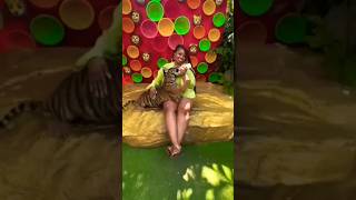 Lady Feeding A Baby Tiger 🐅 😳 In Safari OMG 😲 #shorts #viralvideo