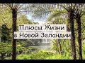 Плюсы Жизни в Новой Зеландии