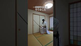 【居合×古武術】1,091本の稽古で掴んだ感覚と、まだ見ぬ「全身の連動」