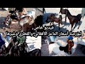 (فيديو ٢٤/٧/٢٠٢١)بورصة أسعار المواشي الماعز بأنواعها الأفغاني والقطري والعارضي وغيرها من الماعز 🐐🐐