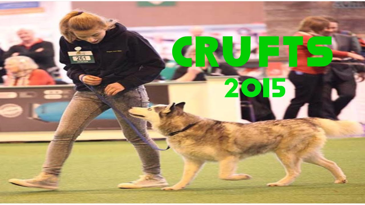 Crufts 2015 - Regan and Mika
