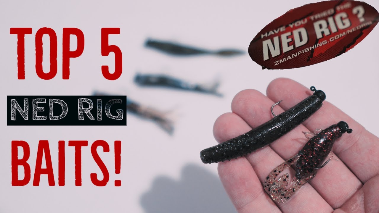 NED RIG Setup - Top 5 Favorite NED RIG Baits! 