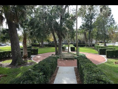 834 Deer Woods Rd, Celebration, FL home video tour
