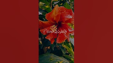 صوت الأرض والسماء المبارك #اكسبلور #بحر #راحة_نفسية #القارء #لايك #تيكتوك #تيك_توك #تلاوه #دويتو