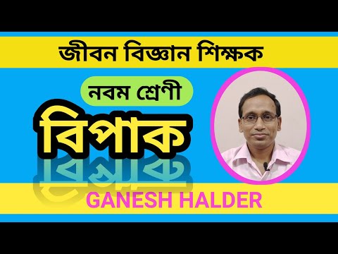 ভিডিও: পণ্যগুলি যা শরীরে বিপাককে ত্বরান্বিত করে: তালিকা, পর্যালোচনা