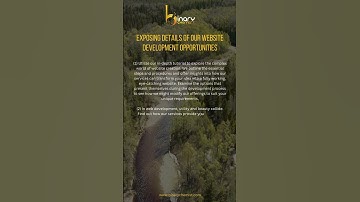 Exposing Details of Our Website Development Opportunities