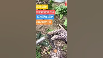 # Cảm ơn bạn chính thức # hướng dẫn nâng cấp # công nghệ nâng cấp